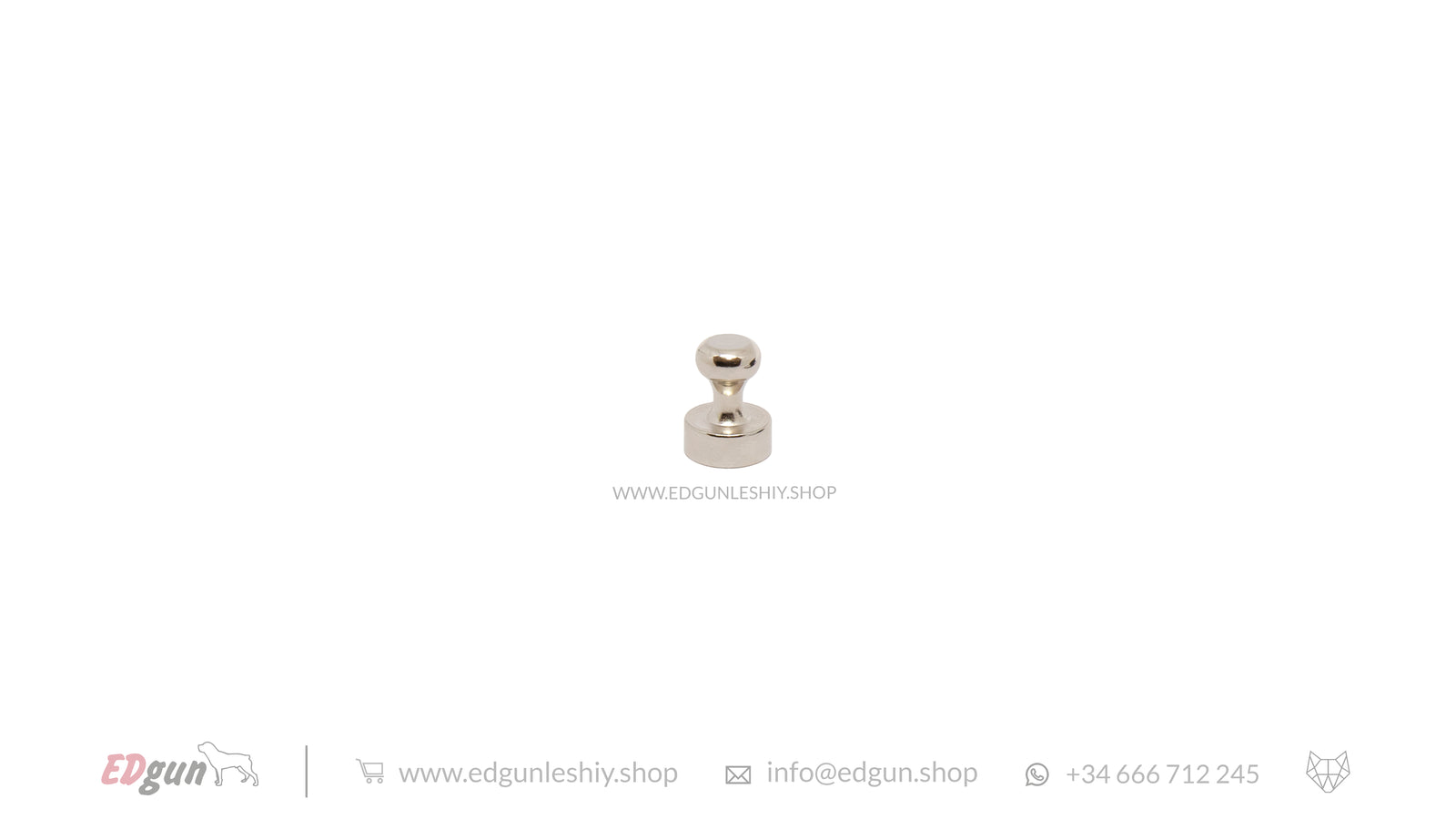 Magnets for Leshiy 2