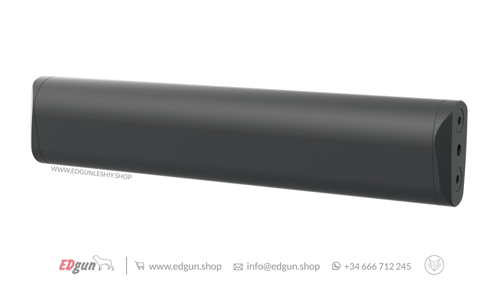 Suppresor for Leshiy 2