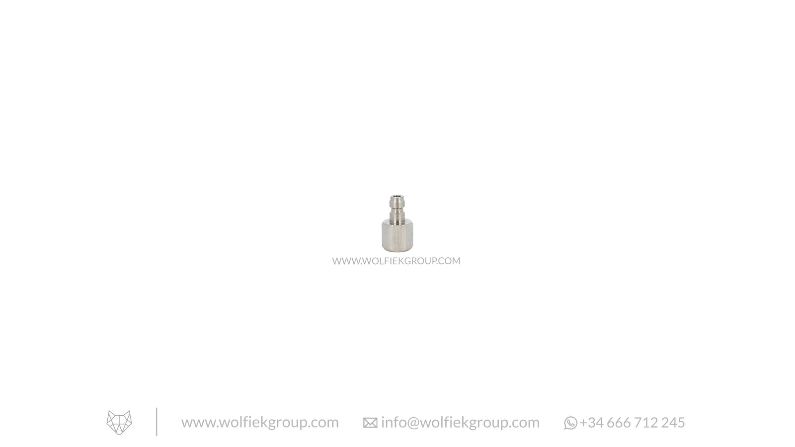 Foster Male to G1/8¨ BSP Female Adaptor