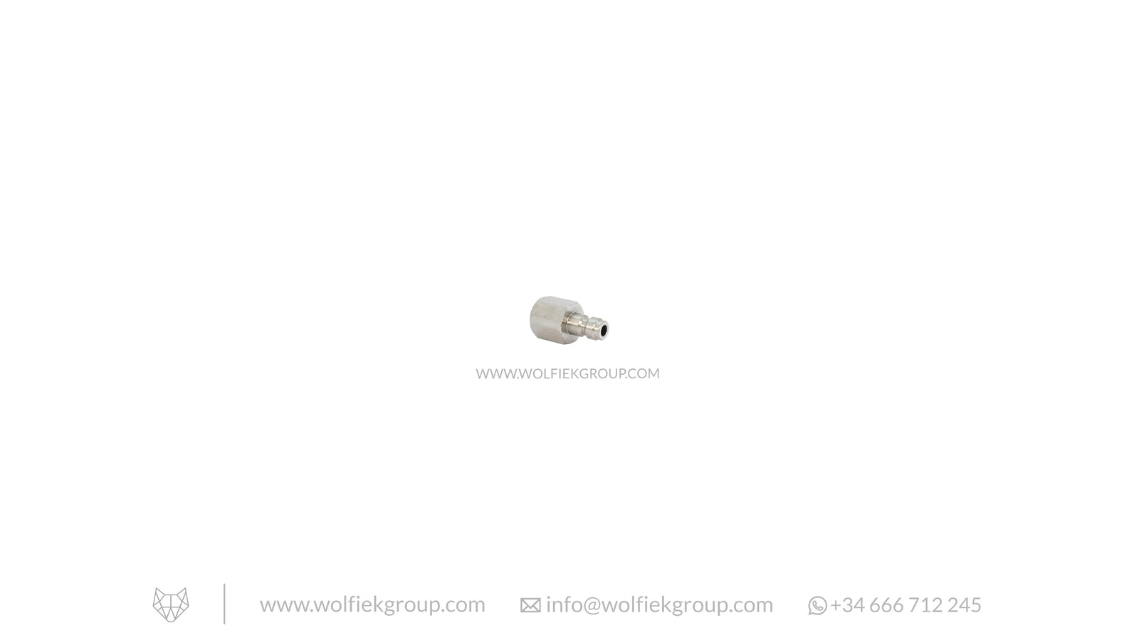 Foster Male to G1/8¨ BSP Female Adaptor