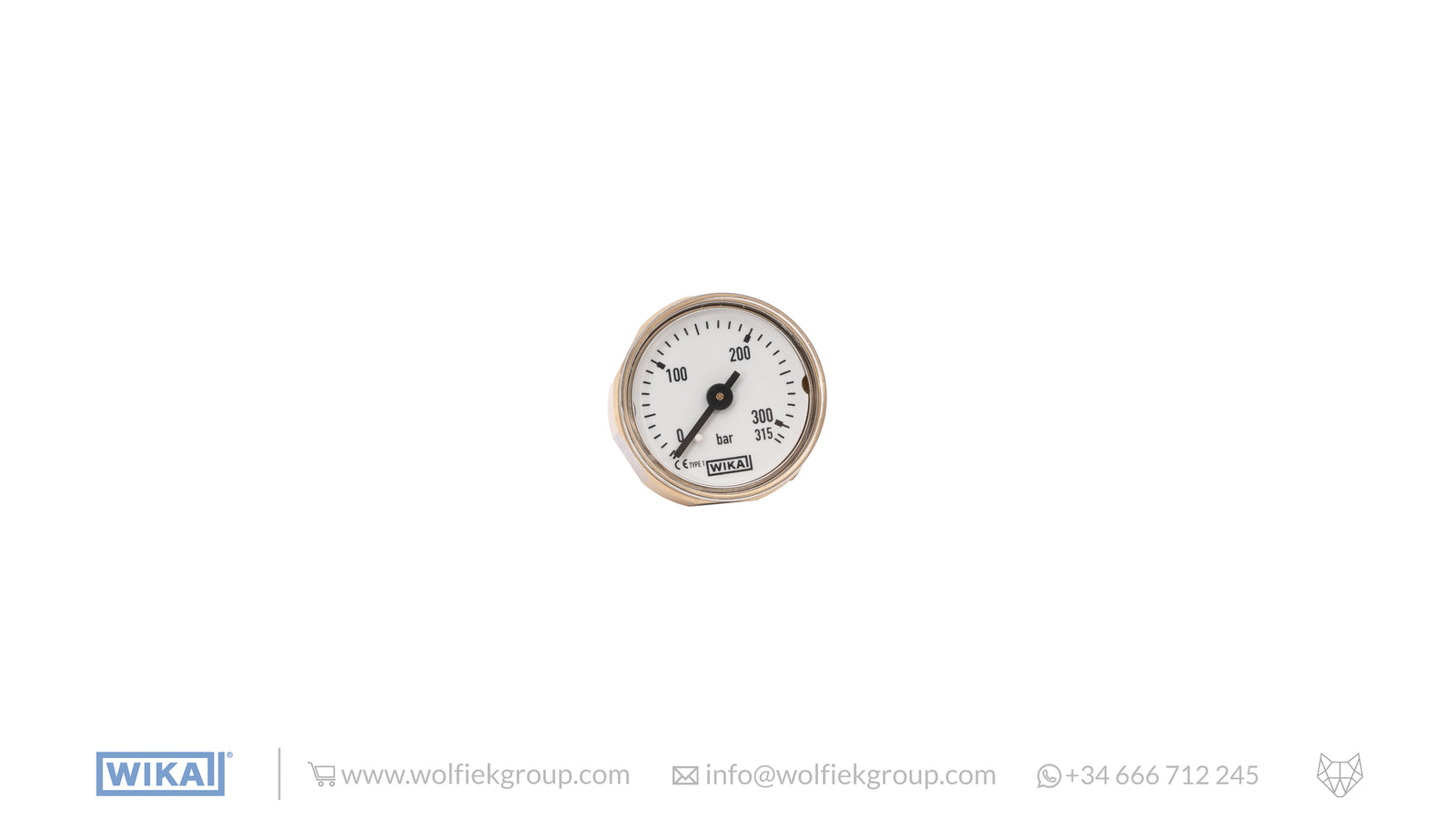 WIKA Analogue Gauge bar 0 - 315 in white 