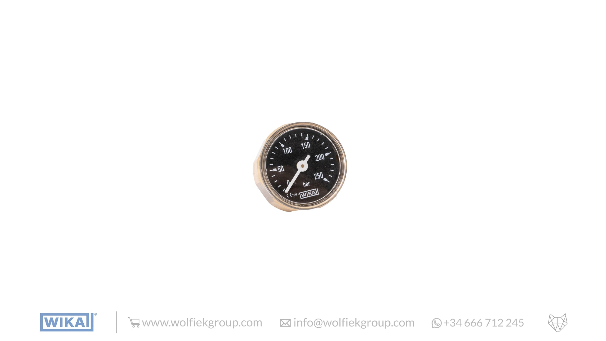 WIKA Analogue Gauge (0-250 BAR)